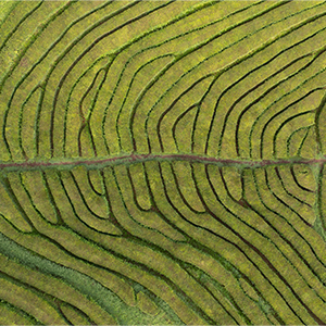 Diálogo: “Sostenibilidad en cosmética, próximos retos”